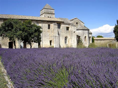 Escort Saint Remy de Provence