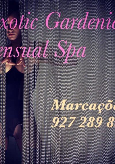 Sexual massage Porto Belo